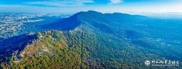 没来过紫金山，就不算看过南京的秋
