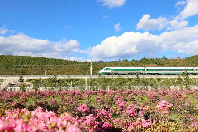 开通两周年！这趟民族风动车别错过！