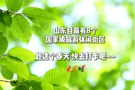 趁这个春天！打卡山东8个国家级旅游休闲街区图片
