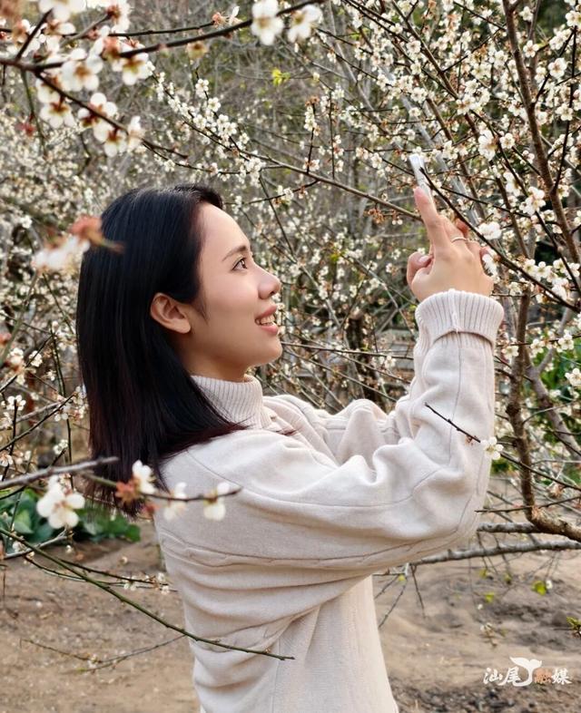海陆视觉｜汕尾“香雪”醉游人