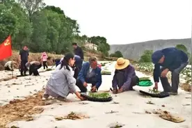 【看基层】临洮县新添镇：魅力“巾帼红” 奉献“她力量”图片