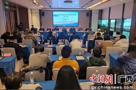 广西青年词曲创作骨干高级研修班在柳州开班图片
