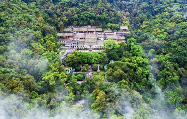 收藏！4条线路，解锁鼎湖山N种玩法！
