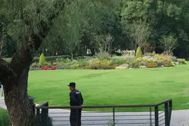 中心城区的大片草坪，为何不能踩？图片