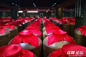 认真考虑吧！听说过种瓜种地，你听说过种酒吗？图片