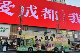 春节长假，8条“熊猫专线”带你看熊猫！图片