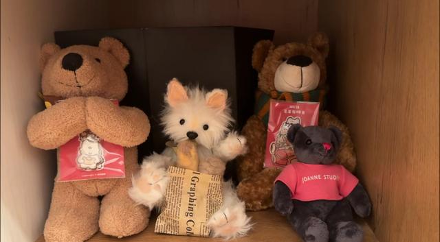 女子养了13年的爱犬被小区邻居毒杀，投毒者一审获刑4年当庭上诉，狗主人发声