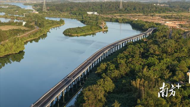 骑行打卡“红树林+古村落”，阳西大洲桥12月通车