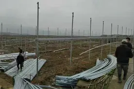 宁远县中和镇：积极回应民声，全力推进集中育秧棚建设图片