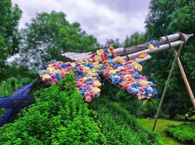 重磅！镇海赏菊盛会开幕！（内附游玩攻略）