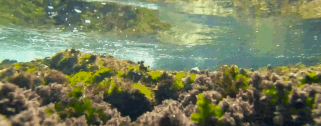 火山把炽热酿成湖光：五大连池的美，是山与水的浪漫情书