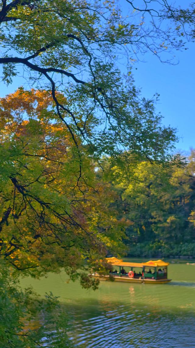 秋日静美！颐和园后湖五彩斑斓