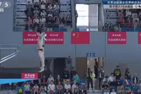 金牌+1！练俊杰杨昊跳水世界杯夺冠图片