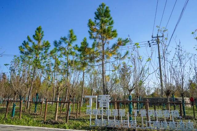 距离乐高乐园1.5公里，藏着一片…