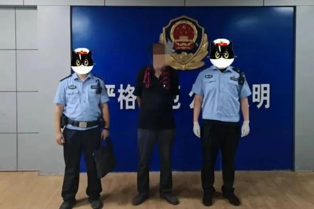 男子为吃铁锅炖大鹅偷鹅被拘