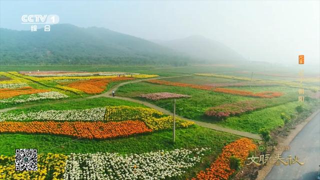 辽宁朝阳:三燕故都 辽塔千年