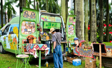 山海连城，花满全城——2025深圳簕杜鹃赏花周正式启幕