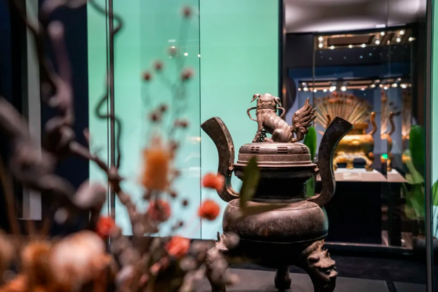 早安，长宁丨黄金城道“杏”定美景来啦～