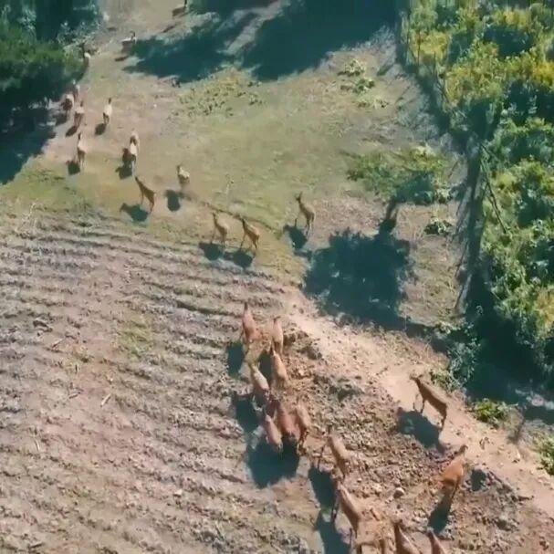 穿山越岭皆成韵，窗外山河次第开