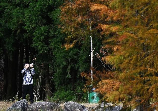 冬日茂名：看鹿湖顶“魔法”变变变