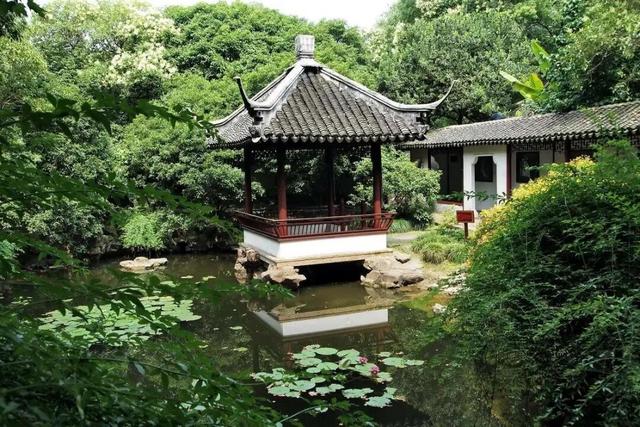 进博逛展意犹未尽？“上海之根”松江这3条主题线路，每款都藏惊喜～～～