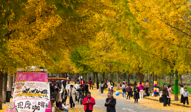 落叶缓扫，诗意长留！彭州的秋天被“绣”在了大地上