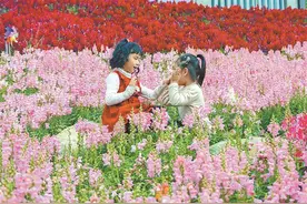 带上这份踏春指南 解锁厦门浪漫赏花地图图片