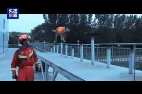 训练秘籍大公开！看搜救犬如何玩转“十八般武艺”图片