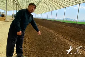 威海丑梨园成花园，引进高端梨品种获双认证图片