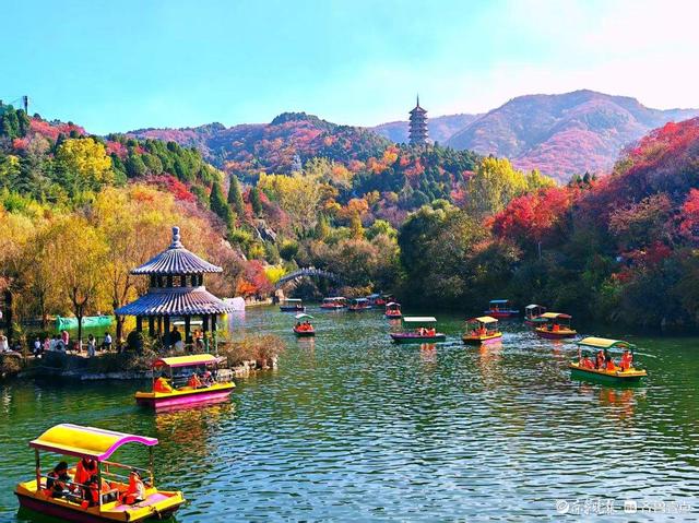 醉美深秋！济南红叶谷红叶引来大批游客