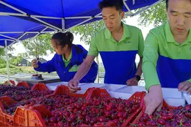 新经济观察｜菜鸟速递进军生鲜寄送市场，物流行业开启“争鲜”之战丨封面天天见图片