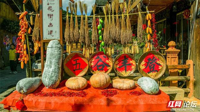 “拾起”最美的秋天 “怀化捡秋地图”来了