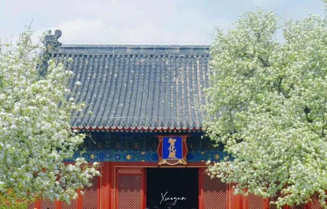 这些“微活瞬间”，是2025年的幸福具象