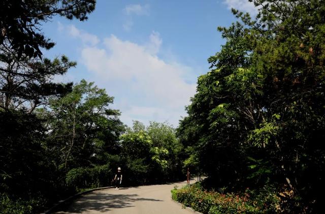 海风开道，秋色伴跑！威海喊你“动起来”~