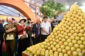 廉江：实干争先 推动一二三产业融合发展图片