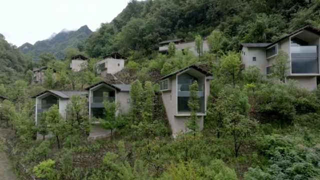 打卡保康蜡梅谷！“芳香疗愈” 新体验，隐居度假好去处