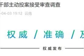 主动投案！昆明经济技术开发区管委会原副主任王桂泽接受审查调查图片