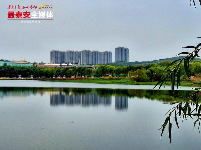 初秋天平湖：水墨画卷入眼来