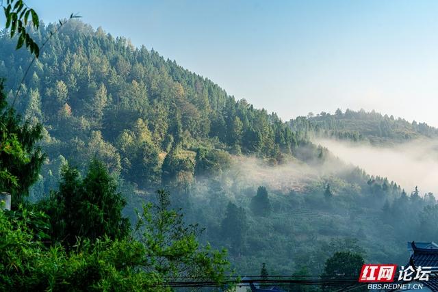 岁暖时刻丨雾锁湘西晨色里，一方秘境藏烟火