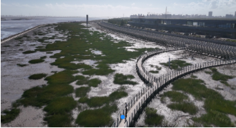 16+6，“走进申海”带你逛遍魔都海岸线