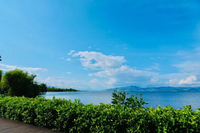 大理最治愈的129公里：这个夏天，在洱海边找到生活的解药
