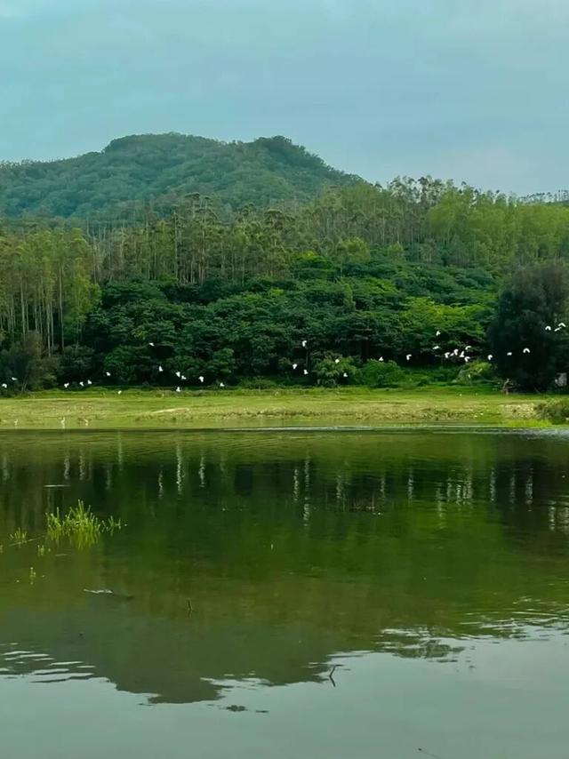 是时候爆火了，这座“天赋异禀”的小山村，来了就想当”新村民”！