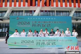云南南华县野生菌种类达1021种图片