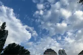 上海下周48小时气温暴跌9℃！一场全能型寒潮即将来袭！千万注意→图片