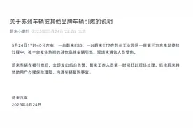 充电站多辆汽车起火，蔚来通报：一台发生热损的其他品牌车引燃两辆蔚来，无人受伤图片