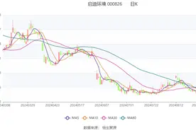 启迪环境：2024年上半年亏损2.19亿元图片
