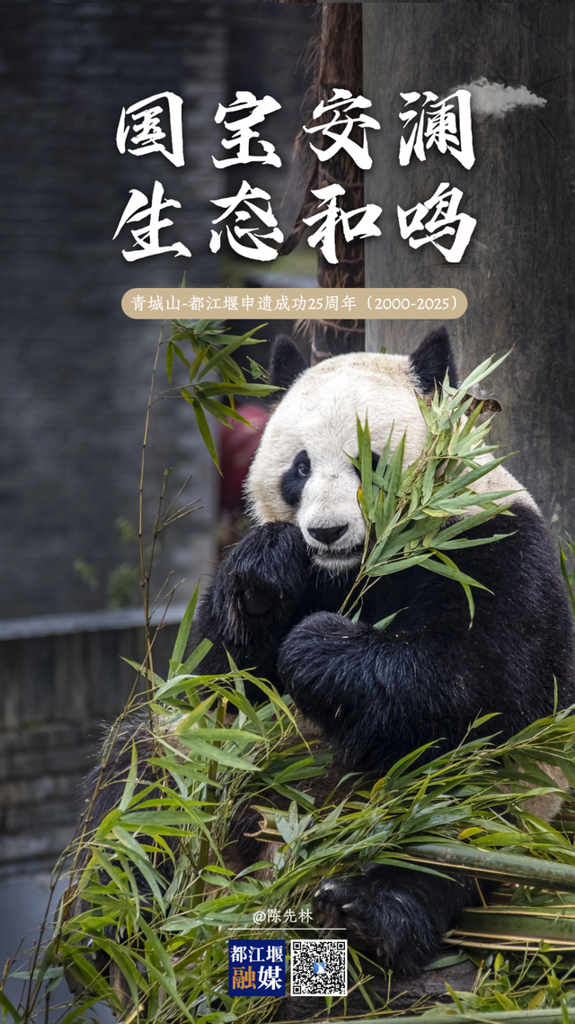 海报丨青城山-都江堰申遗成功25周年