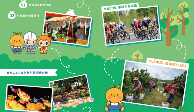 长兴岛“橘夜星河”9月26日启幕，观菊海、采柑橘、打铁花，夜夜精彩