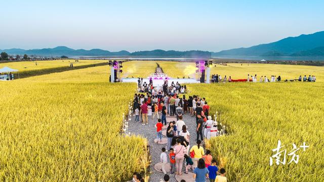 7665公里碧道串珠成链，广东绿色水经济奏响生态富民曲