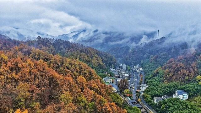 初冬高饱和度美景，还得看洛阳！